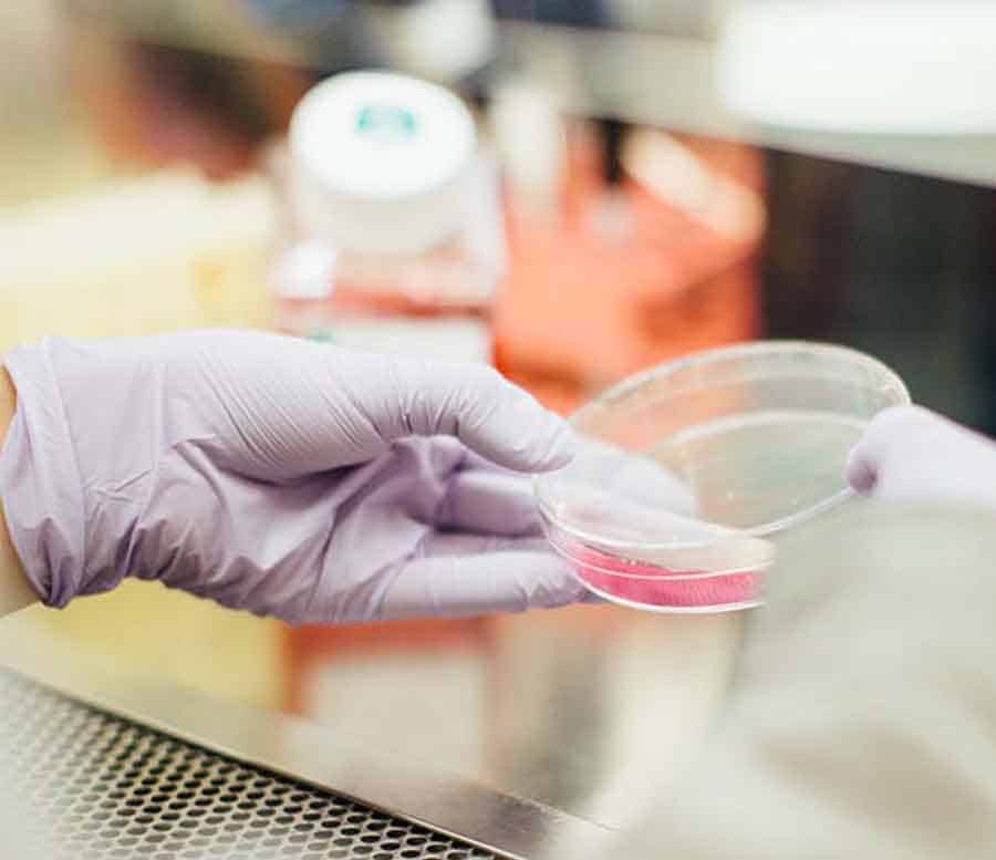 Sanuwave Health Incorporated